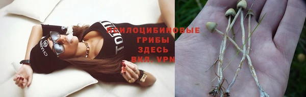 ГАЛЛЮЦИНОГЕННЫЕ ГРИБЫ Бугульма