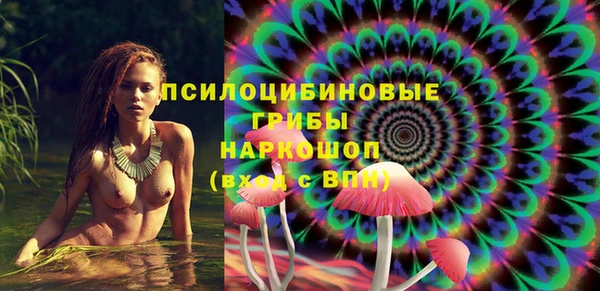 дурь Бронницы