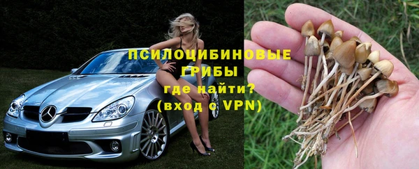 ГАЛЛЮЦИНОГЕННЫЕ ГРИБЫ Бугульма