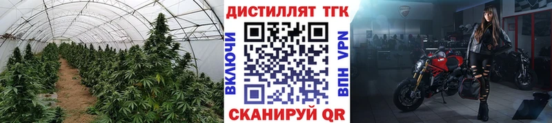 купить наркотик  Губкинский  Дистиллят ТГК гашишное масло 