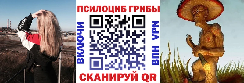 Псилоцибиновые грибы мицелий  Губкинский 